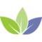 favicon favicon